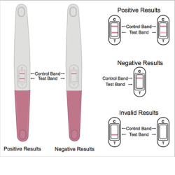 Test de grossesse - Gest.Test Pro stylo - 1 pièce